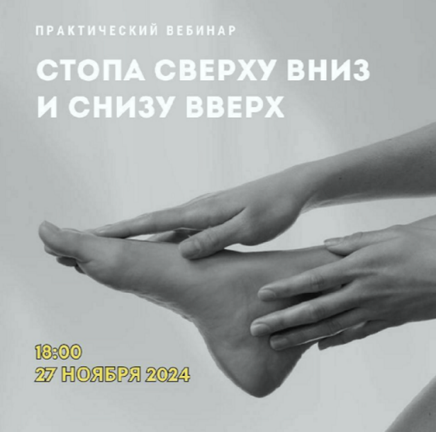 [Александр Волоткевич] Стопа сверху вниз и снизу в_0.png